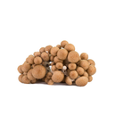 Brown Shimeji Mushrooms