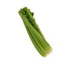 Celery (芹菜) [~1KG]