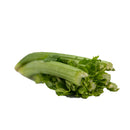 Celery (芹菜) [~1KG]