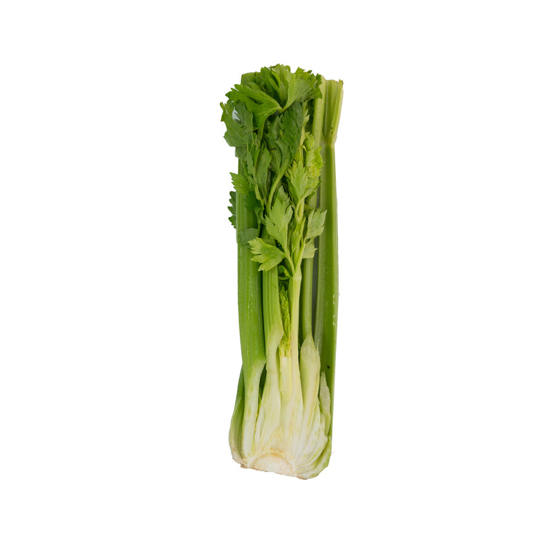 Celery (芹菜) [~1KG]