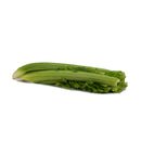 Celery (芹菜) [~1KG]