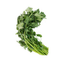 Chinese Celery (中国芹菜) [~100g]