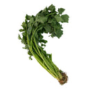 Chinese Celery (中国芹菜) [~100g]