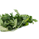 Chinese Celery (中国芹菜) [~100g]
