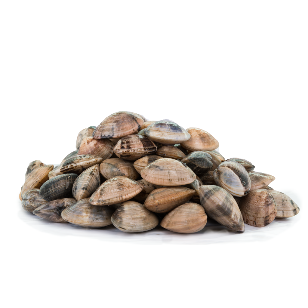 Flower Clams (1KG)