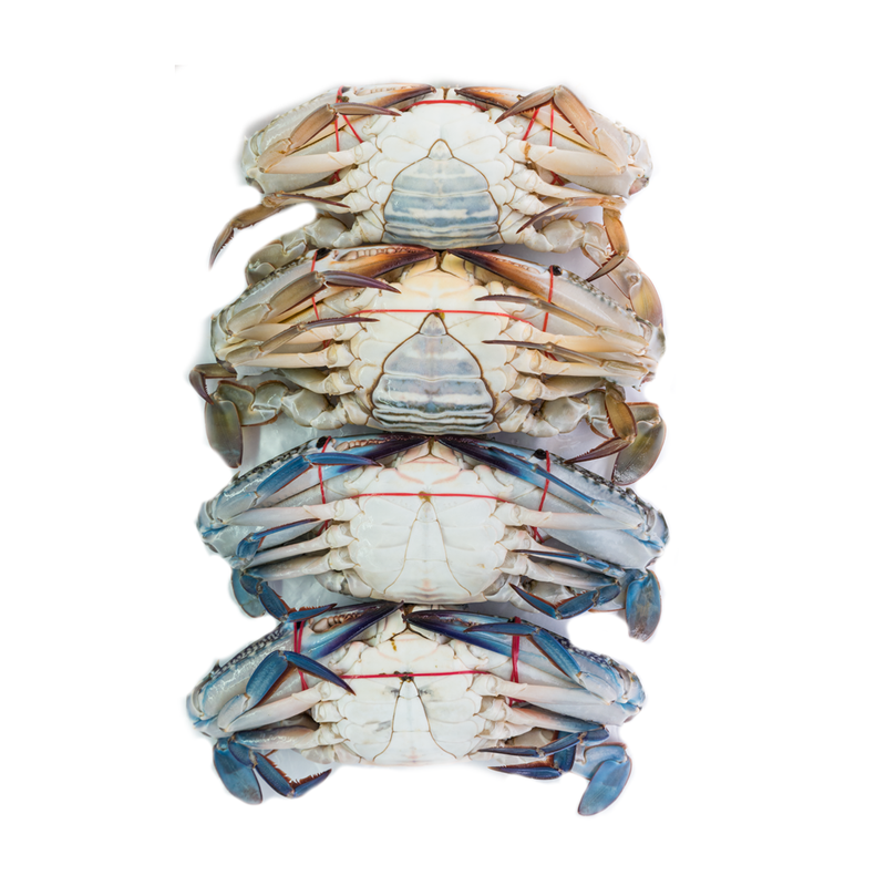 Flower Crab (500g)