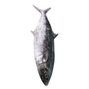 Horse Mackerel (1KG)