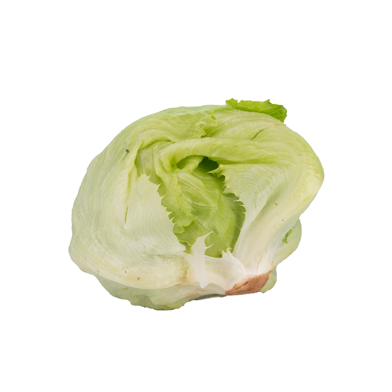 Iceberg Lettuce (西生菜) [~500G]