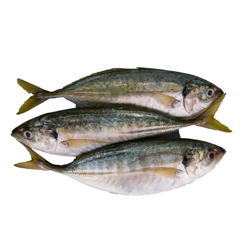 Ikan Selar (600G)