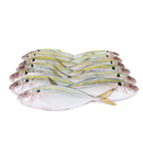 Kunning Fish (500g)