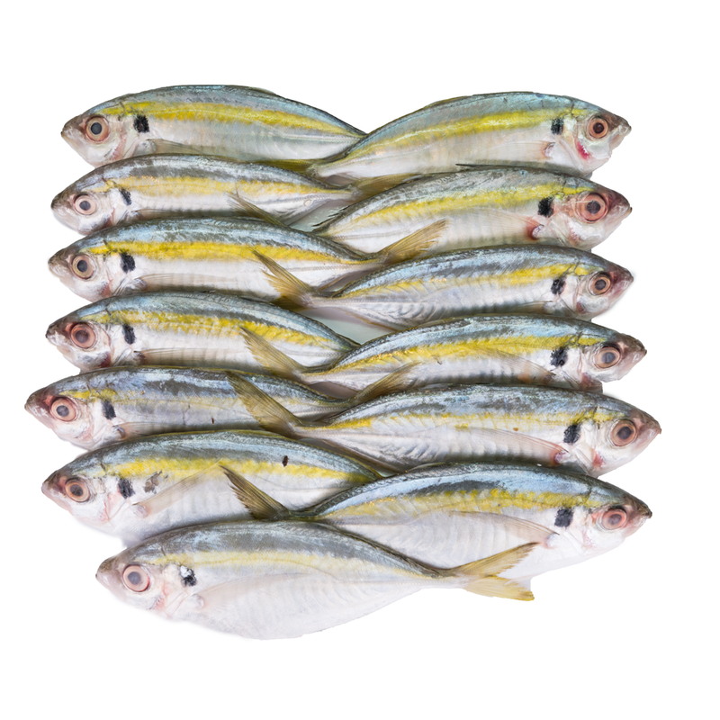 Kunning Fish (500g)