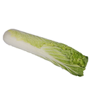 Long Cabbage [~500G]
