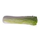 Long Cabbage [~500G]