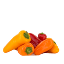 Mixed Color Mini Capsicums ( 三色小灯笼椒) [~300G]