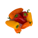 Mixed Color Mini Capsicums ( 三色小灯笼椒) [~300G]