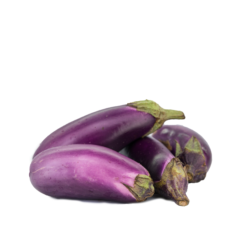 Purple Brinjal (紫色小茄子)