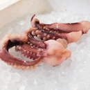 Octopus Leg (~500g)
