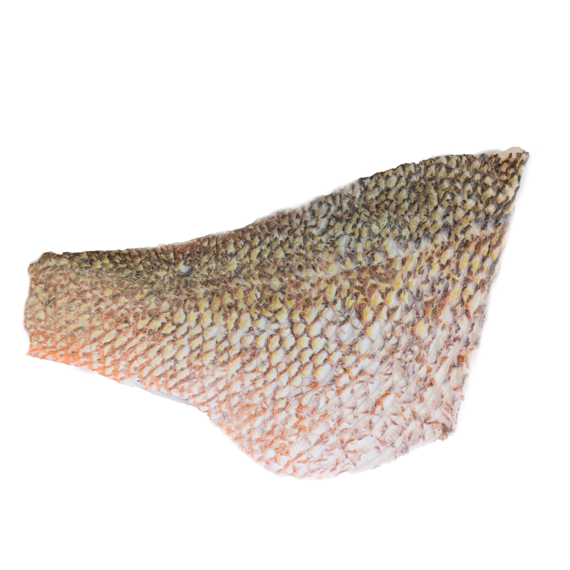 Red Snapper Fill Red Snapper Fillet - Market Fresh Singapore | Online Wet Market
